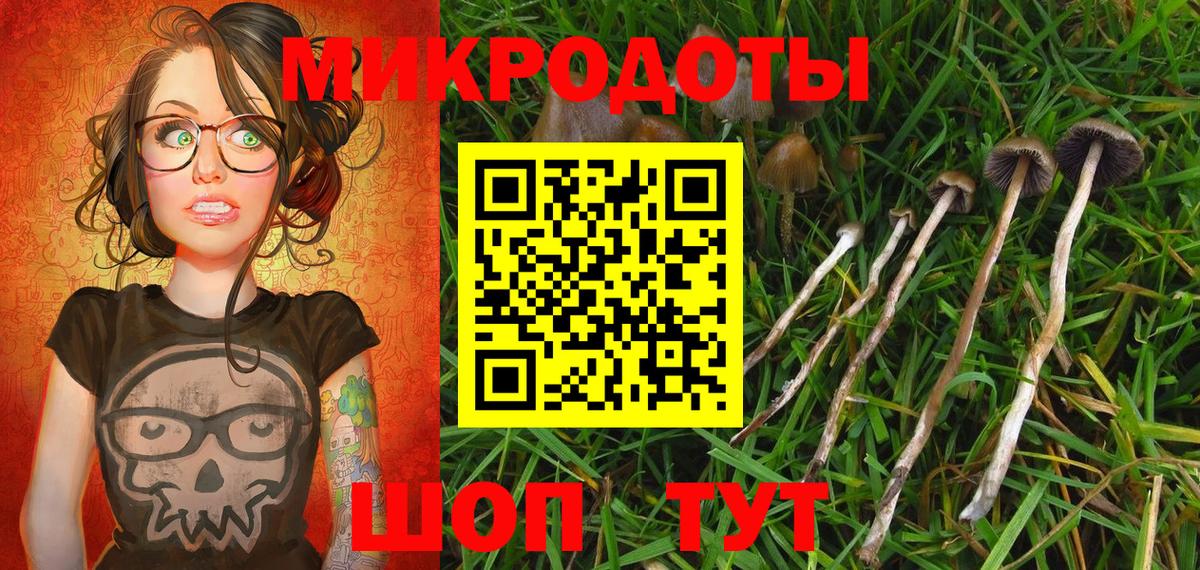 Самара  Галлюциногенные грибы Psilocybine cubensis  Вход с VPN 