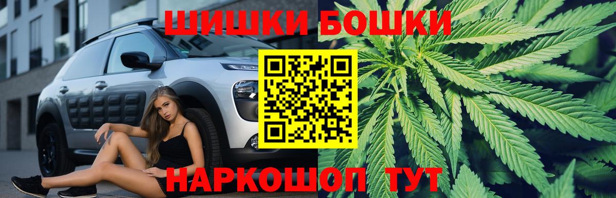 Конопля сатива Самара